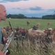 Image for article titled Bless this man who plays his saxophone for cows